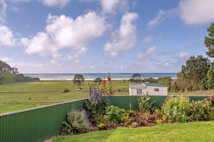 24 Tirohanga Opotiki_49