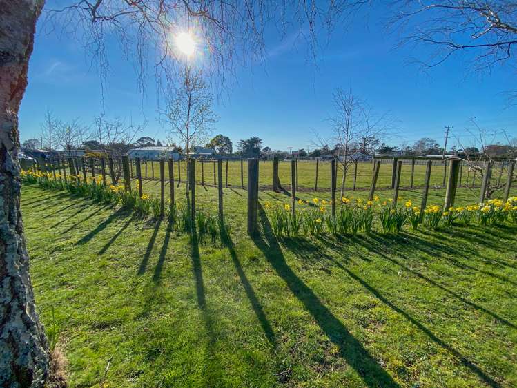 3341 State Highway 2 Carterton_16