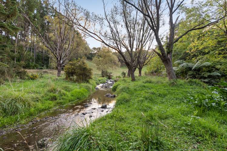 177 Forest Hill Road Aokautere_34