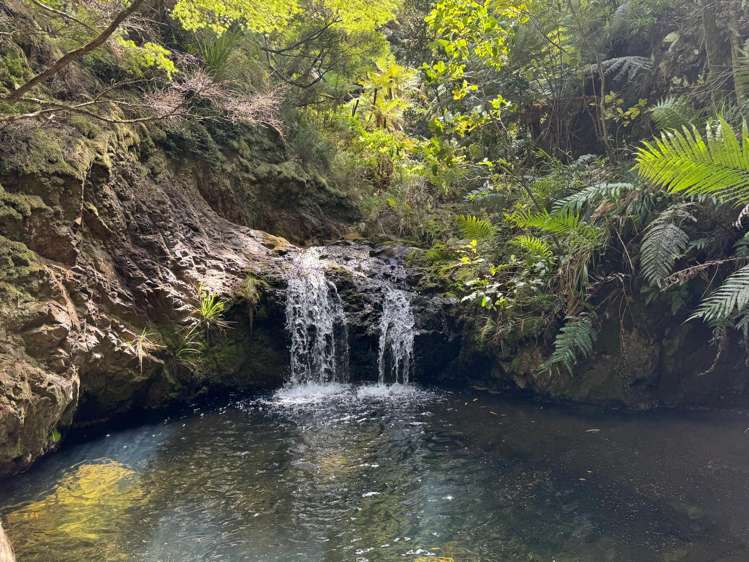 877 Tiki Quarry Road Coromandel_13