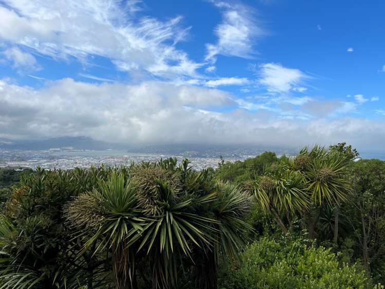 54 Earls Road Saint Clair_24