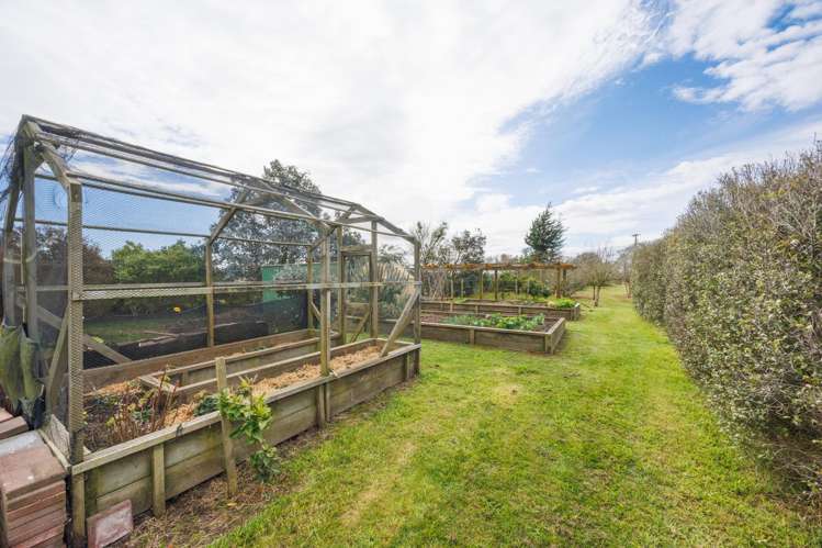 366 Motuiti Road Foxton_43