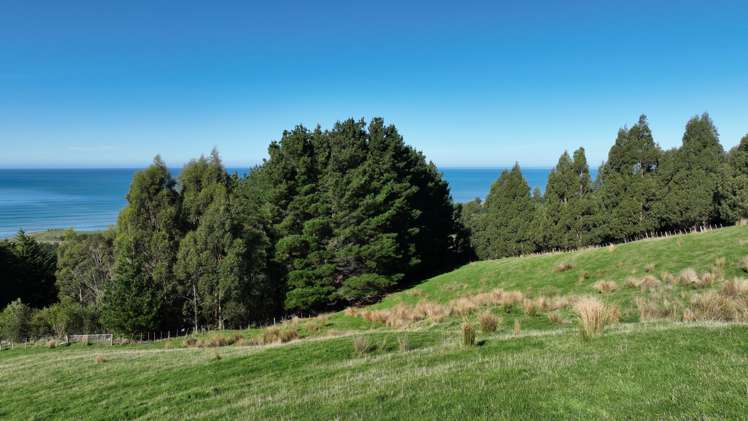 1529 Otahome Road Otahome_24