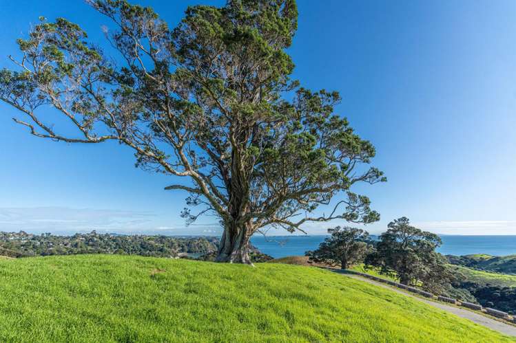 306 Sea View Road - Wawata Estate Waiheke Island_10