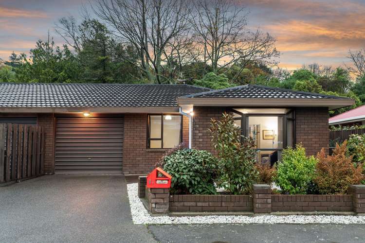 1/8 Torvill And Dean Lane Cashmere_19