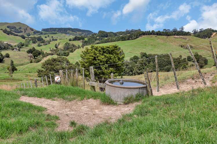 Pipiwai Road Purua_14