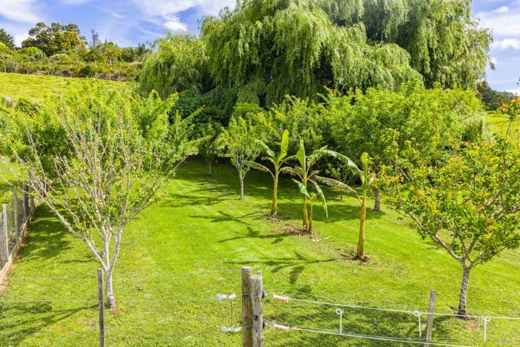 470 Tara Road Mangawhai_41