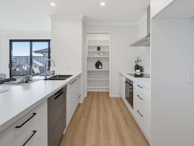 11 Shepperton Street Richmond_3