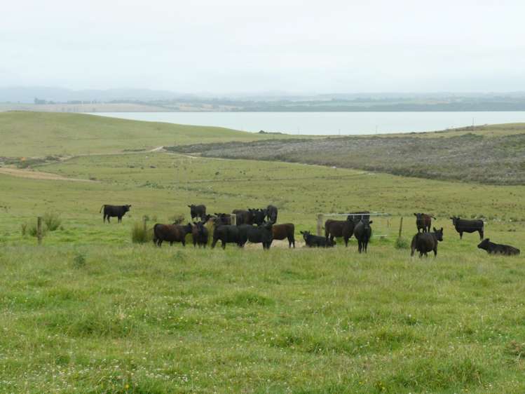 658 Lake Road Kaikohe_9