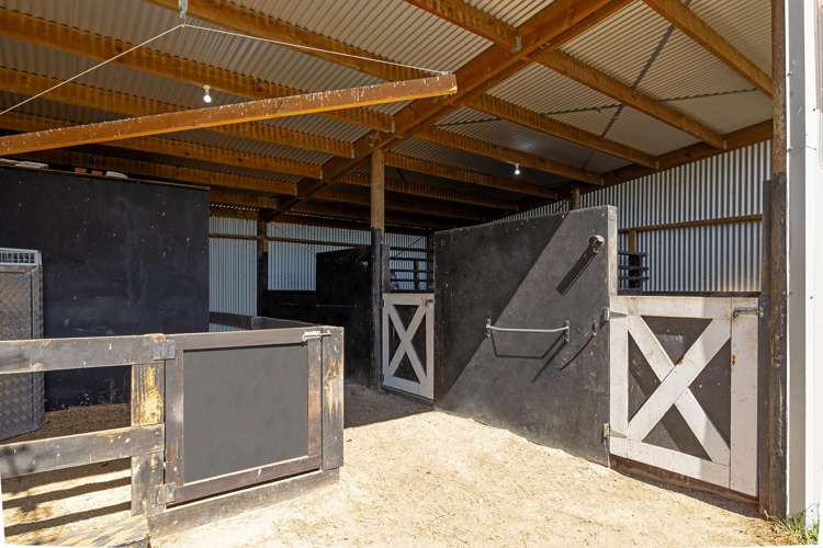 1188 State Highway 2 Mikimiki_17