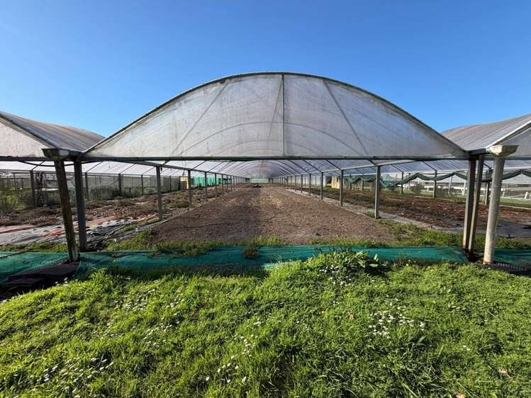 18 Brigham Creek Road Whenuapai_12