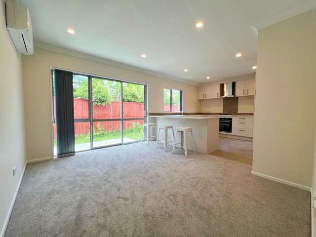 2/45B Mahoe Street 1107_1