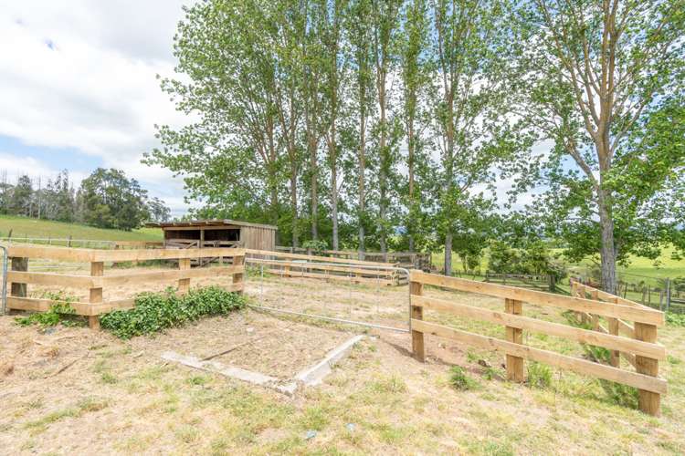 176 Bowman Road Whatawhata_35