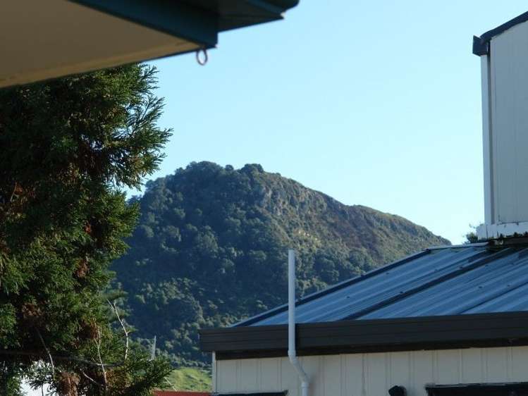 6b May Street Mount Maunganui_6