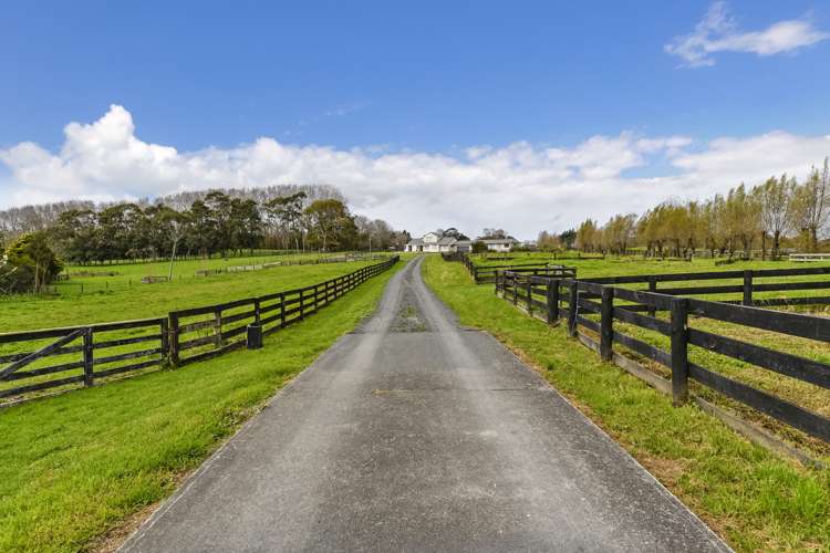 1258 Dairy Flat Highway Dairy Flat_20