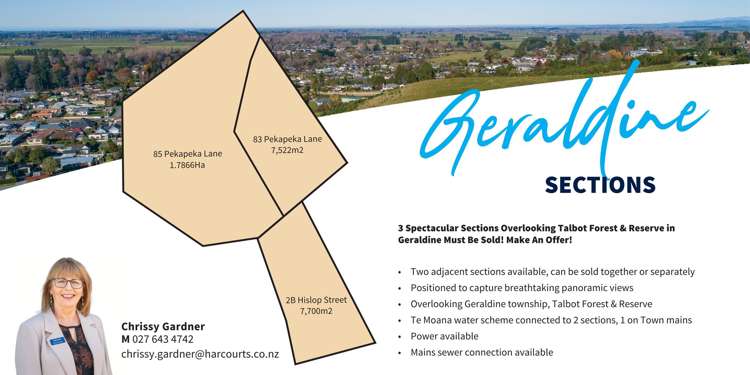 2B Hislop Street Geraldine_8