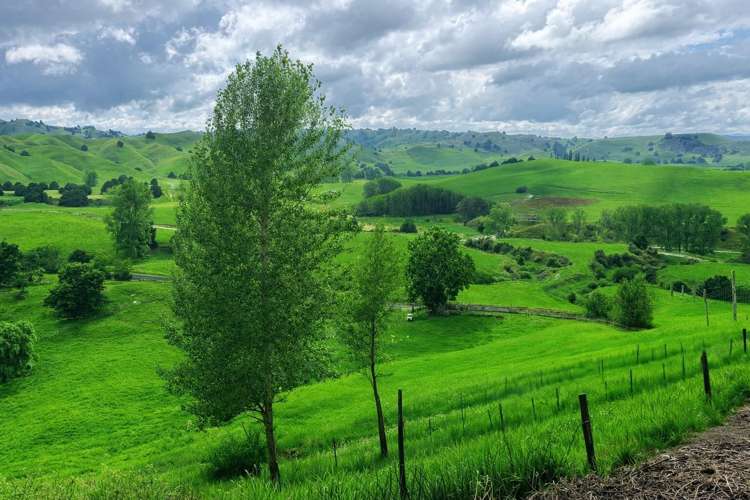Hikumutu Road Taumarunui_3