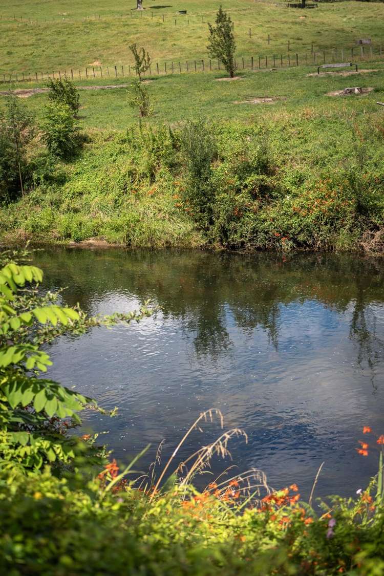 8631B State Highway 2, Waikino Waihi_26