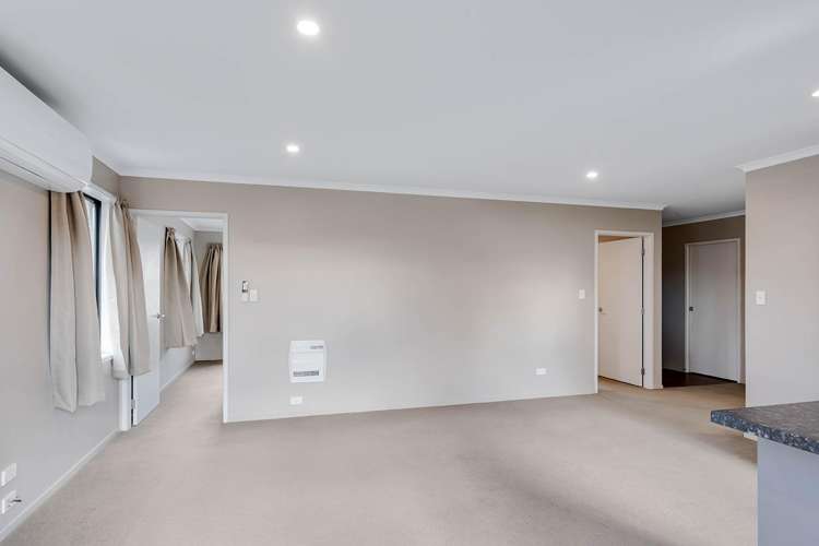 12a Paterson Street 1067_5