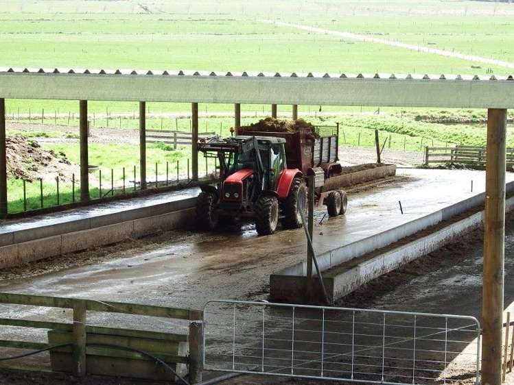 762 Pouto Road Te Kopuru_5