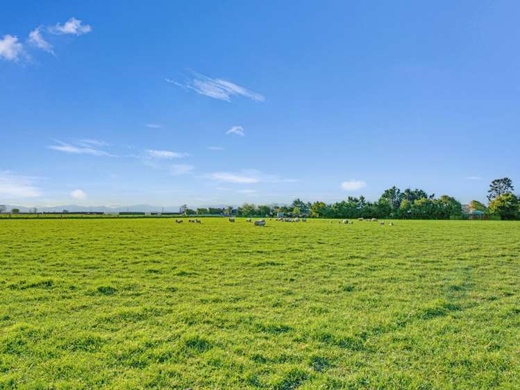 21 Dominion Road Timaru_8