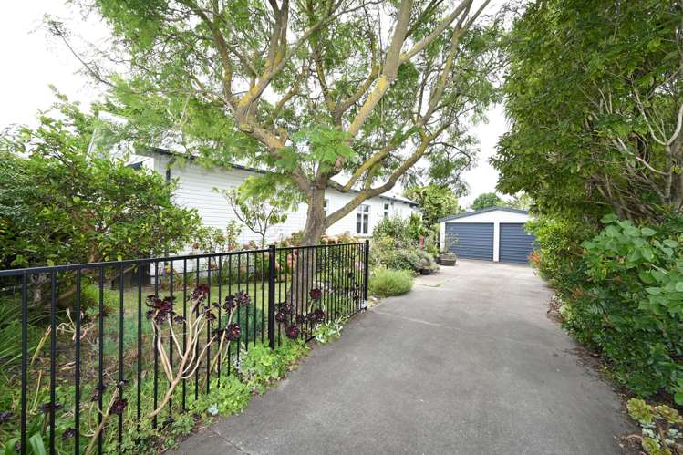 153 Vigor Brown Street Napier South_19