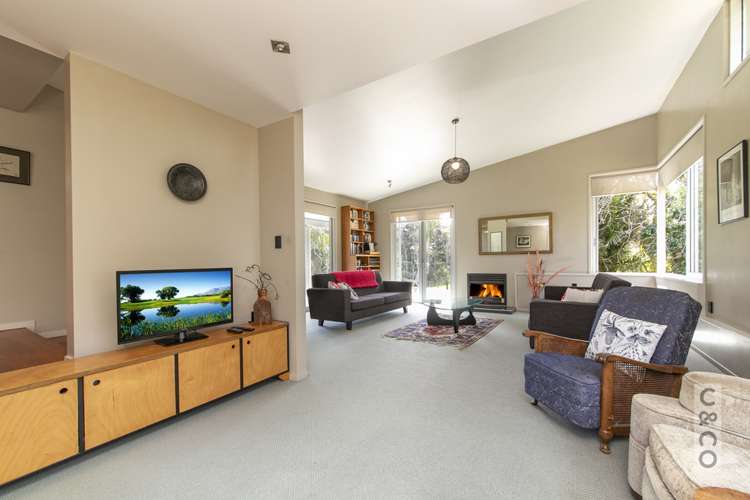 353 Taylor Road Helensville_10