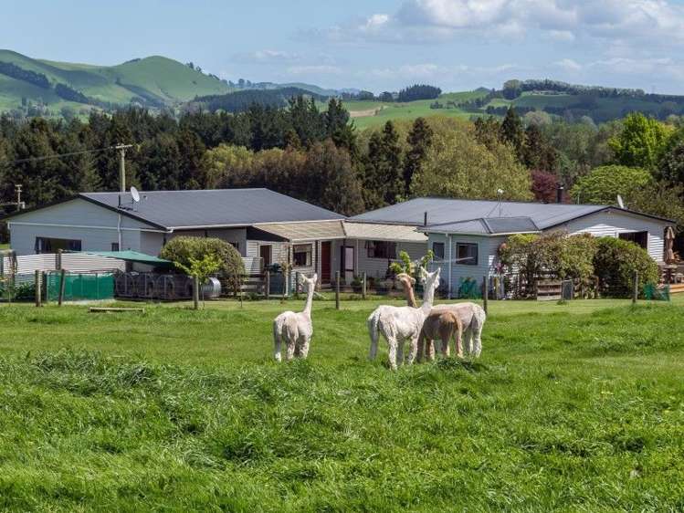 657 Corbett Road Ngakuru_14