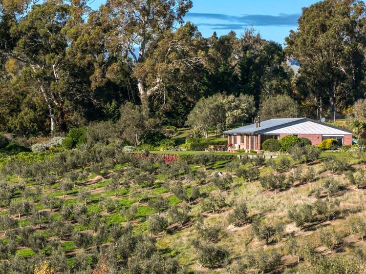 393 Ben Morven Road Fairhall_7