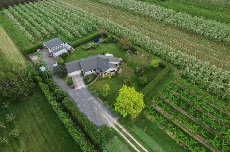 147 Thompson Road Twyford_16