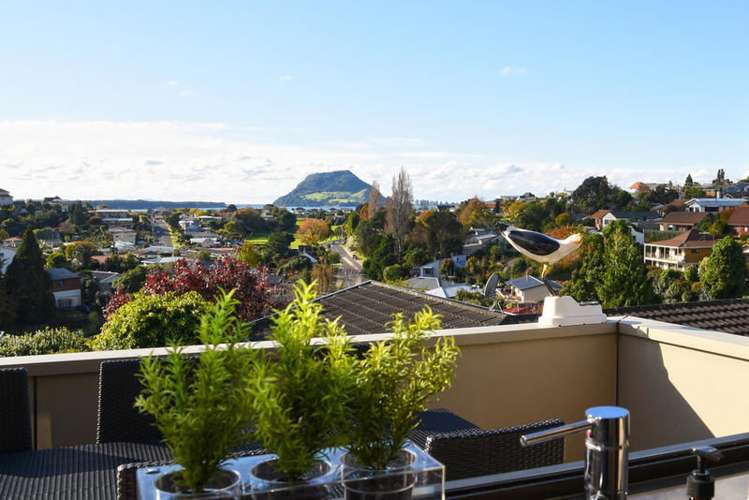 57 Hillcrest Road Otumoetai_7