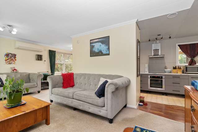 13 Mooney Street Nawton_4