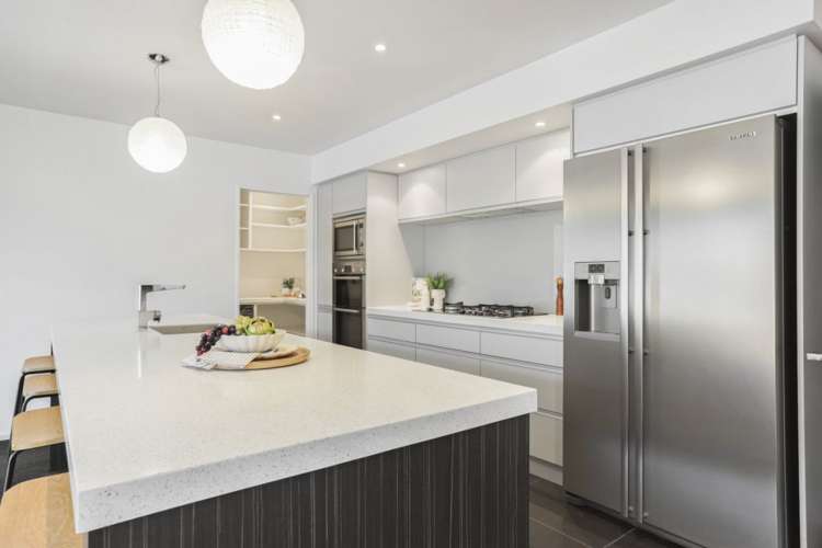 1 Tommy Street Pegasus_6