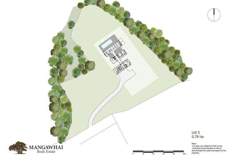 Mangawhai Bush Estate Mangawhai_16