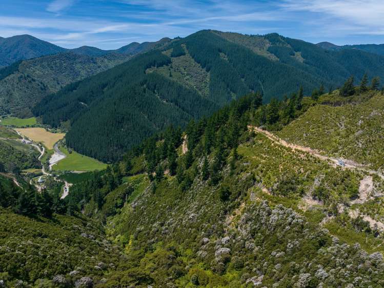 785 Waikakaho Road Tuamarina_24