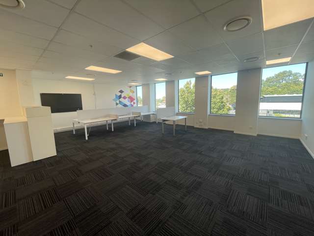 18 Normanby Road Mount Eden_2