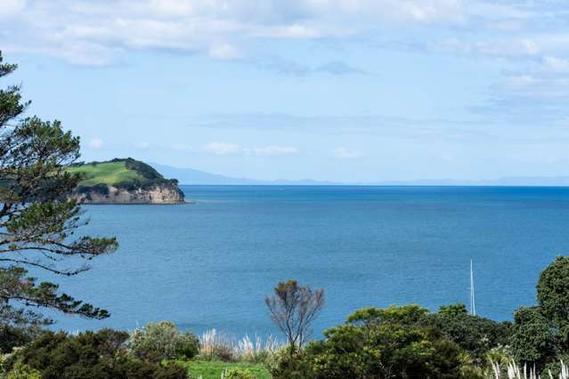 15 Palm View Terrace Gulf Harbour_4