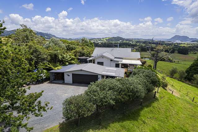 374a Vinegar Hill Road Kauri_3