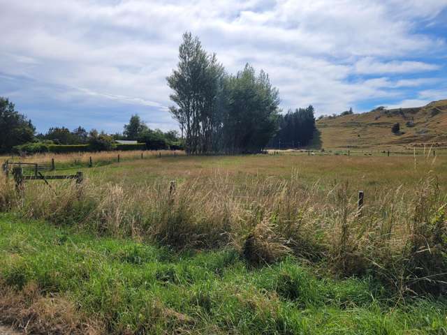 110 Avon Road Centre Bush_1