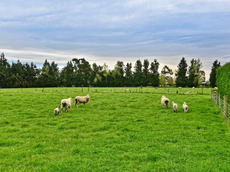 67 Horndon Street Darfield_21