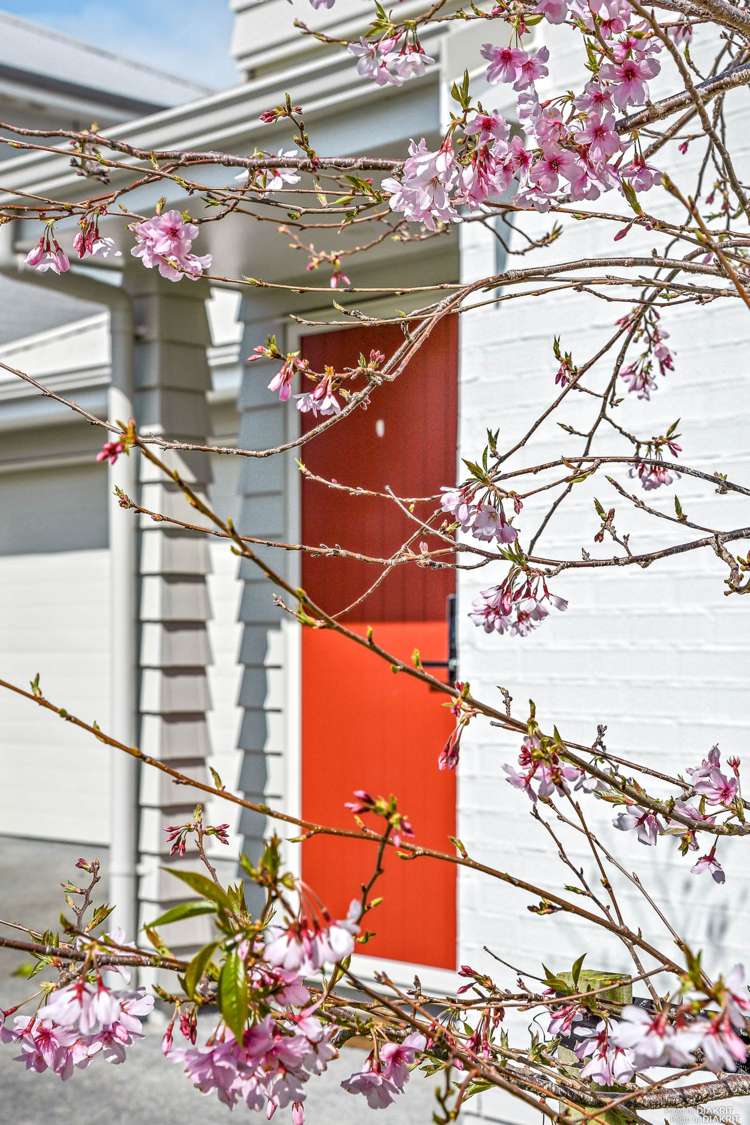 12 Samuel Cassidy Avenue Swanson_1