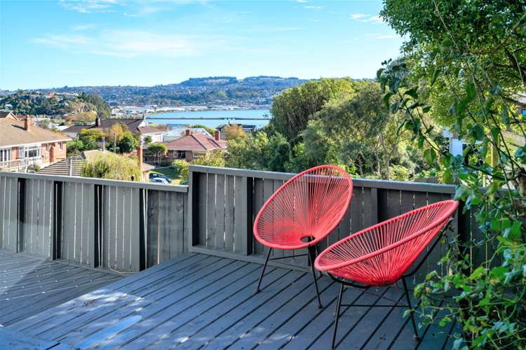 55 Jeffery Street Andersons Bay_17