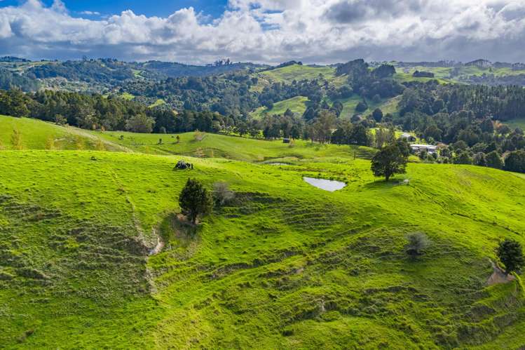 118 Paparoa Station Road Paparoa_23