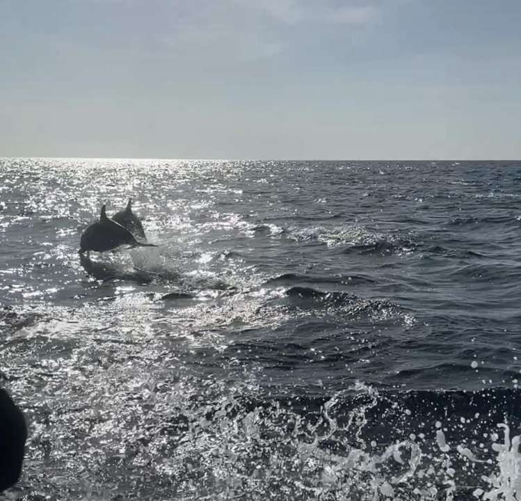 108 The Ridge Langs Beach_31