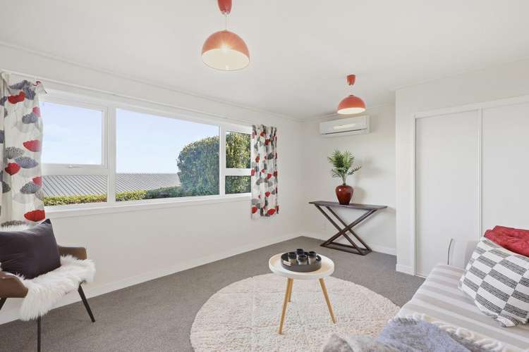 244 Larnach Road Waverley_22