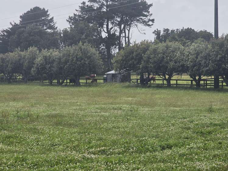 Ruatapu Road Ruatapu_6