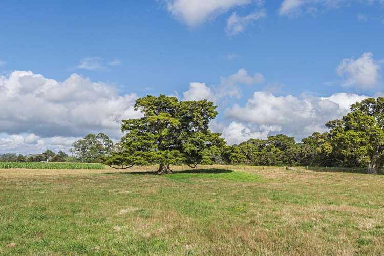 85-87 Old North Road Whakapara_5