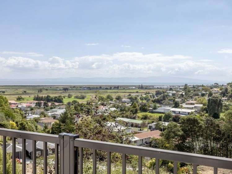 102 Alexander Close Thames_31