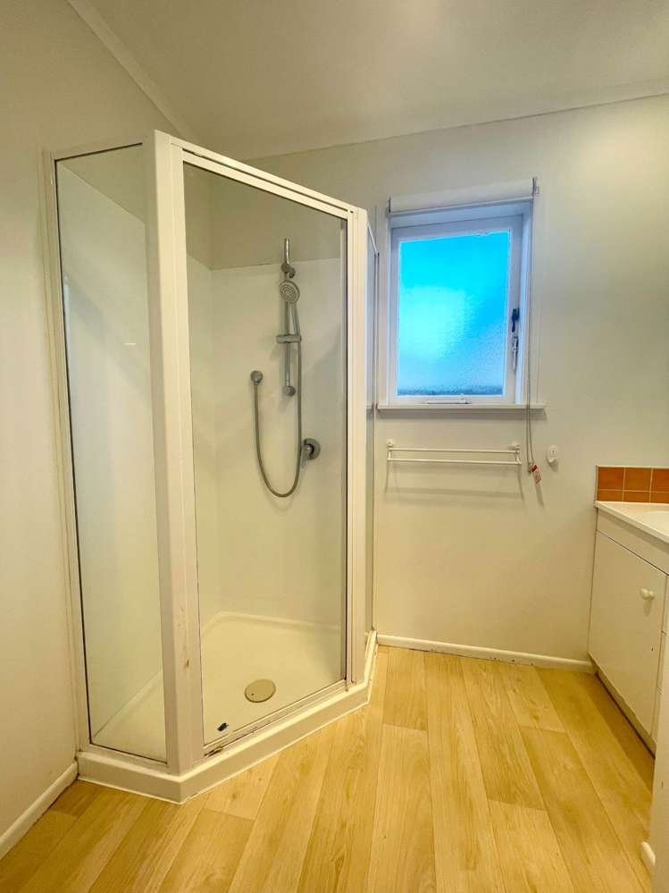 41 Gilliam Street New Lynn_12