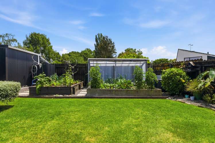 25 Hookey Drive Te Puke_19